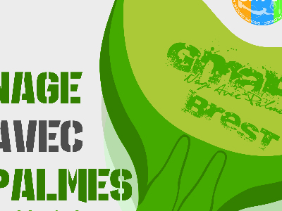 Nage avec palmes - Inscriptions encore possibles